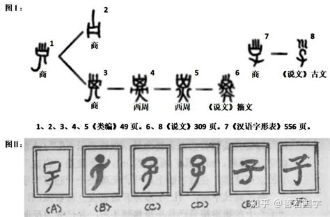 巳寅|分解十二地支最深刻的解读3（寅）